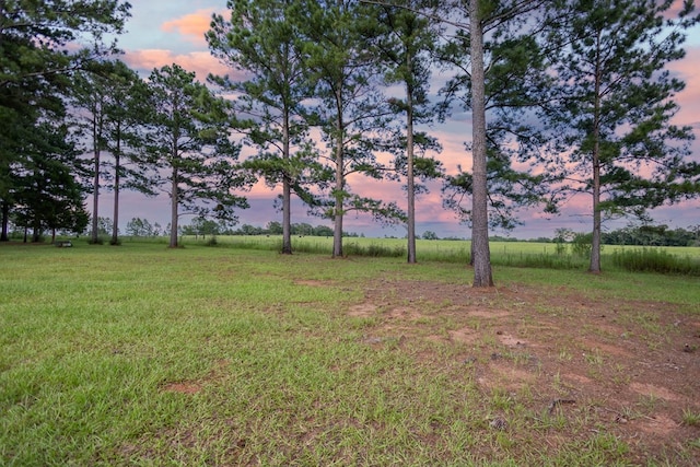 yard at dusk with a rural view