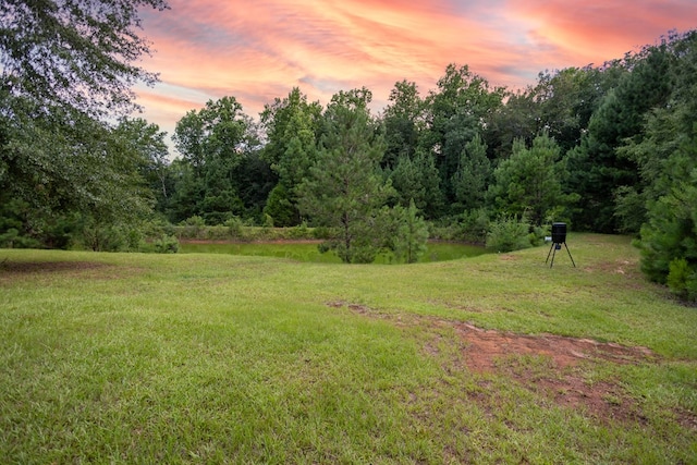 view of yard at dusk