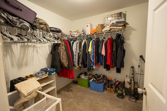 spacious closet with carpet flooring