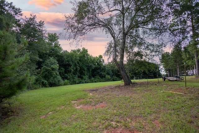 view of yard at dusk