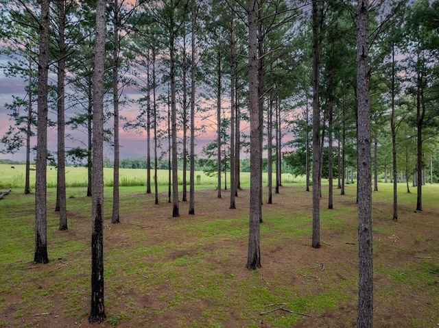 view of yard at dusk