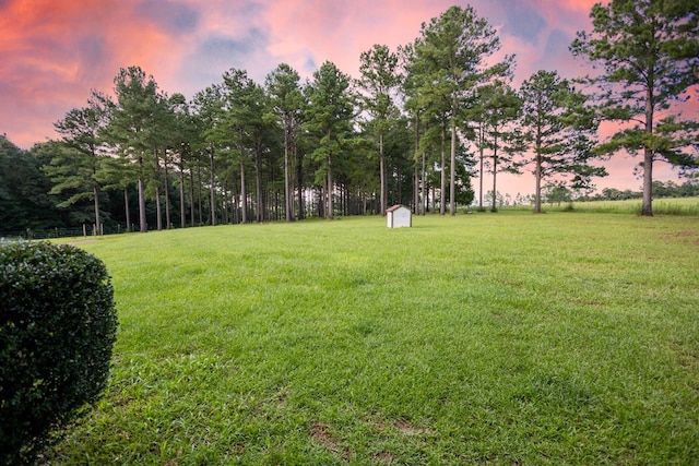 yard at dusk with a storage unit