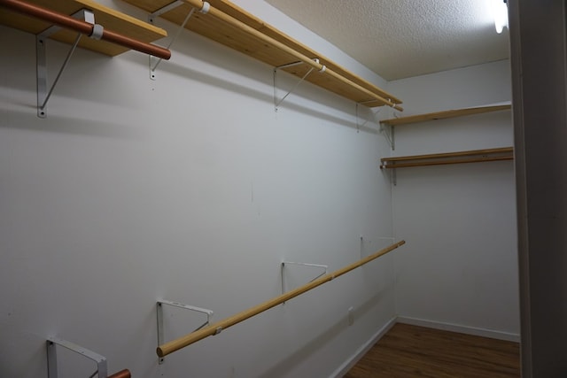 spacious closet featuring dark wood-type flooring