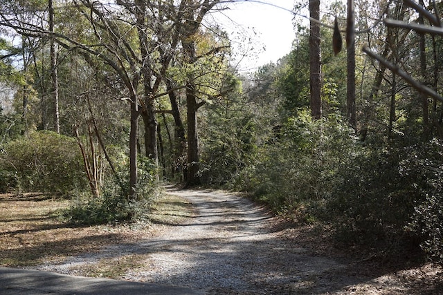 view of road