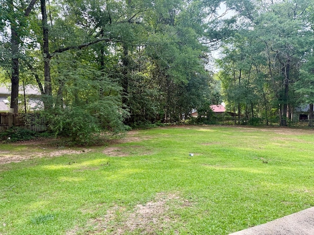 1002 Monterey Ct, Dothan, AL 36303 - view of yard