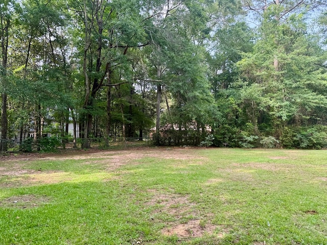 1002 Monterey Ct, Dothan, AL 36303 - view of yard