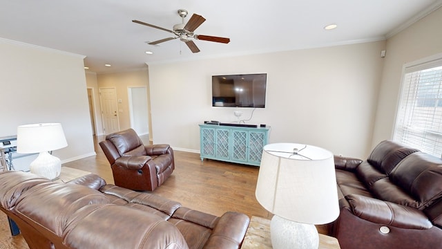 living room featuring ornamental molding, ceiling fan, and light wood-type flooring