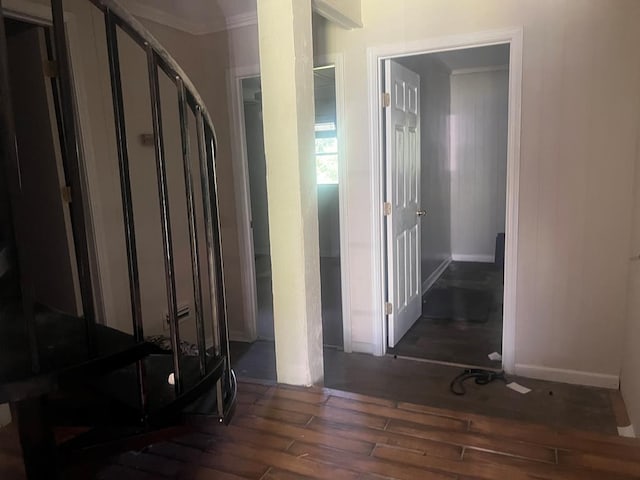 hall featuring ornamental molding and dark wood-type flooring