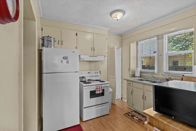 kitchen with sink, crown molding, light hardwood / wood-style floors, a textured ceiling, and white appliances