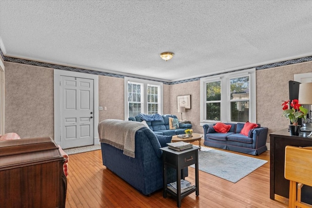 living room featuring ornamental molding, plenty of natural light, wood-type flooring, and a textured ceiling