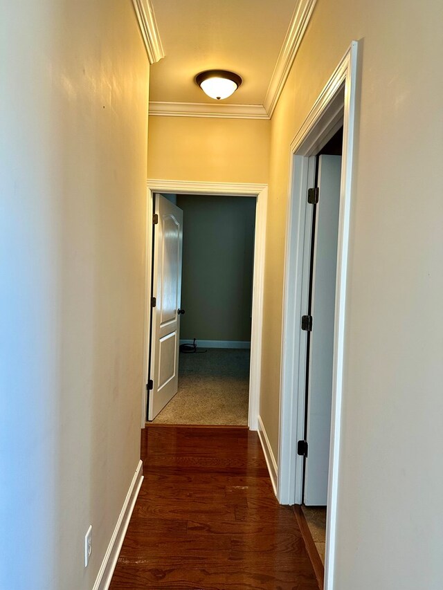 corridor featuring wood finished floors, baseboards, and ornamental molding