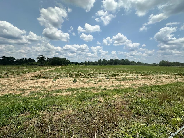 8AcresLot9 J Saunders, Dothan, AL 36305