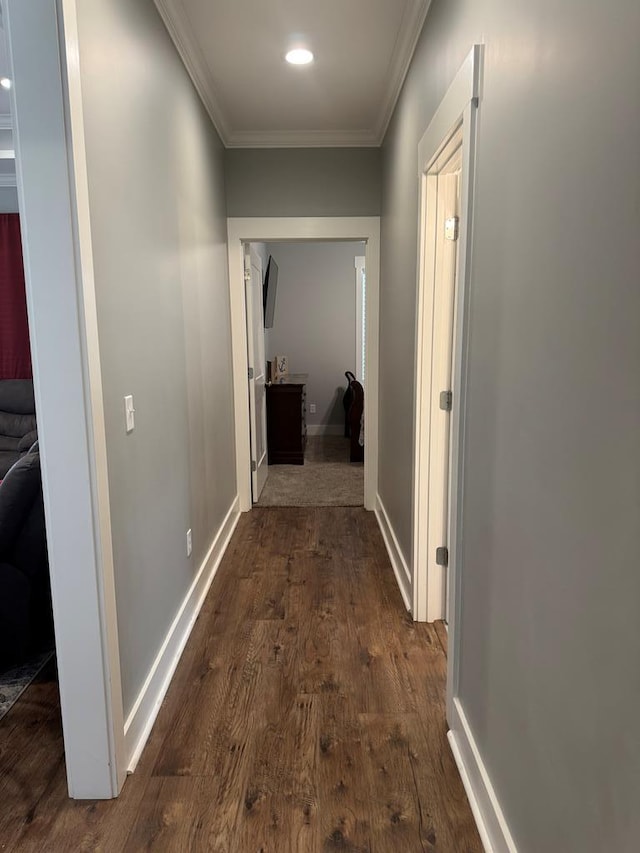 1180 Sandbed Rd, Newton, AL 36352 - hall with crown molding, dark wood-style floors, and baseboards