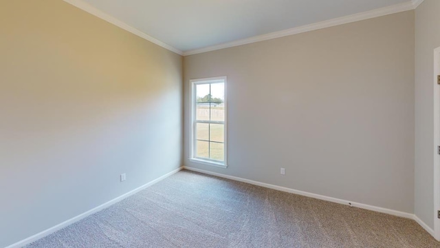 carpeted empty room with ornamental molding