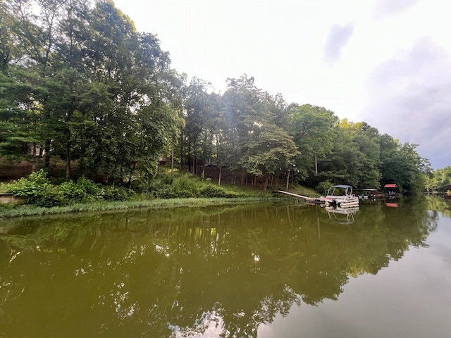 view of water feature featuring a boat dock