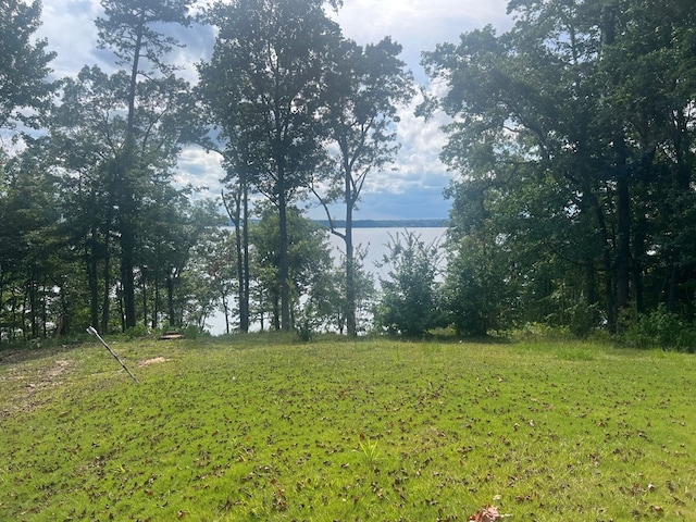 view of yard featuring a water view