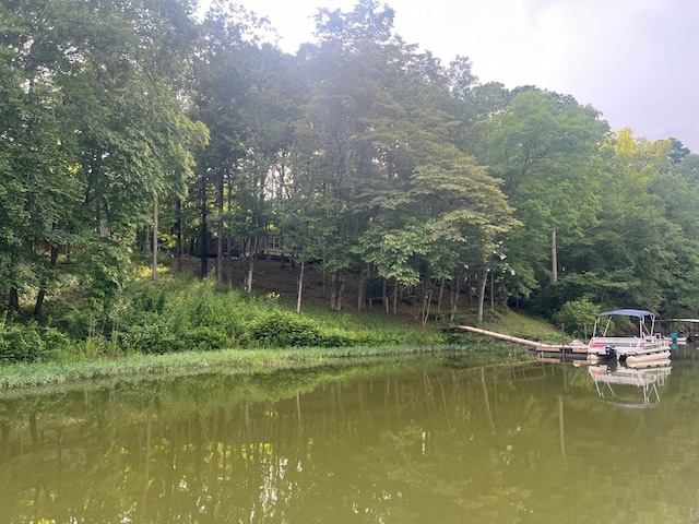 view of water feature featuring a boat dock