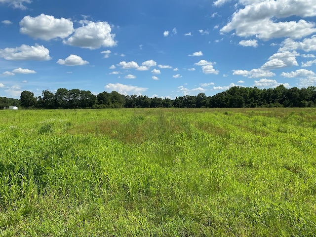 25.5/-AC National Rd Unit 25.5-Ac, Dothan, AL 36301 - photo 13