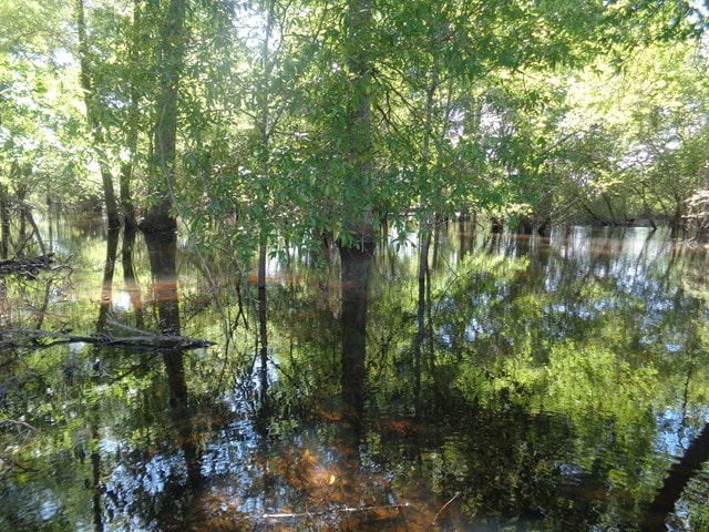 25.5/-AC National Rd Unit 25.5-Ac, Dothan, AL 36301 - photo 19