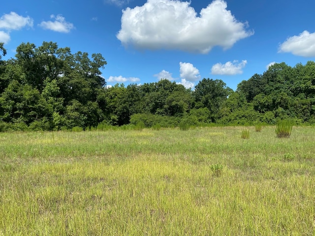 25.5/-AC National Rd Unit 25.5-Ac, Dothan, AL 36301 - photo 24