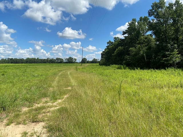 25.5/-AC National Rd Unit 25.5-Ac, Dothan, AL 36301 - photo 27