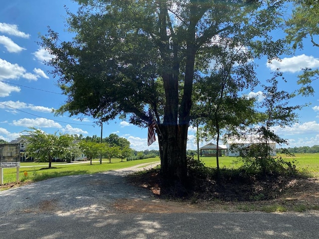 25.5/-AC National Rd Unit 25.5-Ac, Dothan, AL 36301 - photo 5