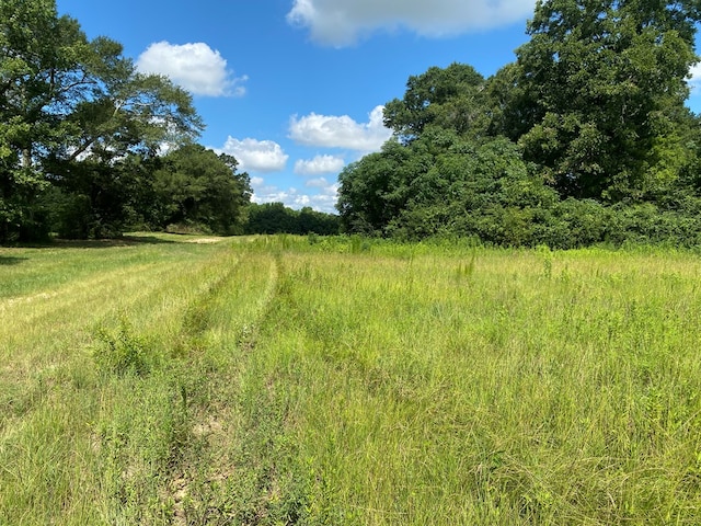 25.5/-AC National Rd Unit 25.5-Ac, Dothan, AL 36301 - photo 29