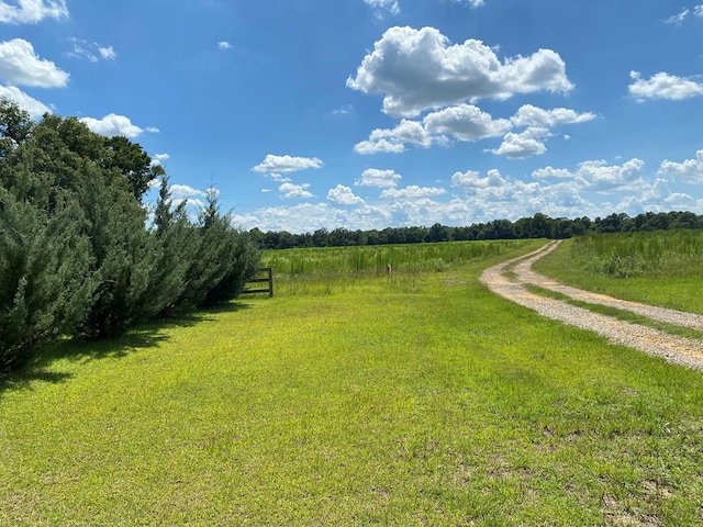 25.5/-AC National Rd Unit 25.5-Ac, Dothan, AL 36301 - photo 9