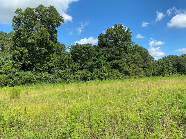 25.5/-AC National Rd Unit 25.5-Ac, Dothan, AL 36301 - photo 28