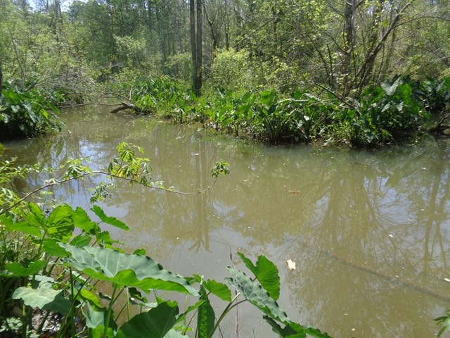 25.5/-AC National Rd Unit 25.5-Ac, Dothan, AL 36301 - photo 20