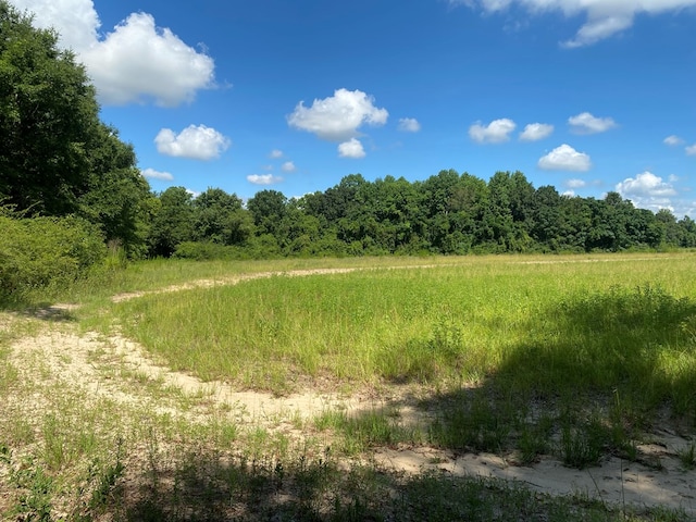 25.5/-AC National Rd Unit 25.5-Ac, Dothan, AL 36301 - photo 17