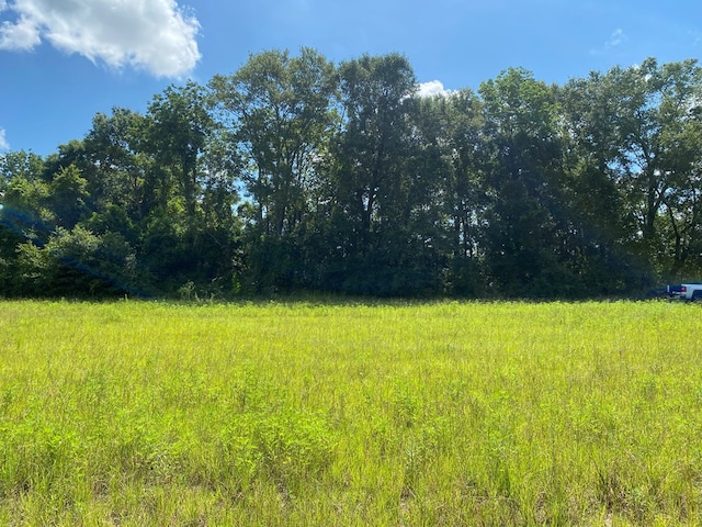 25.5/-AC National Rd Unit 25.5-Ac, Dothan, AL 36301 - photo 25