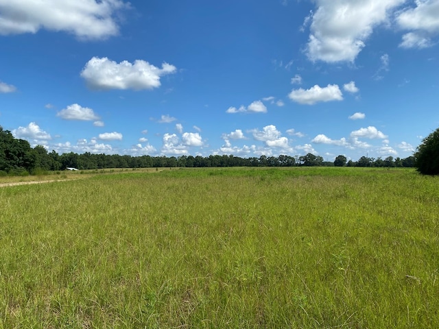 25.5/-AC National Rd Unit 25.5-Ac, Dothan, AL 36301 - photo 23