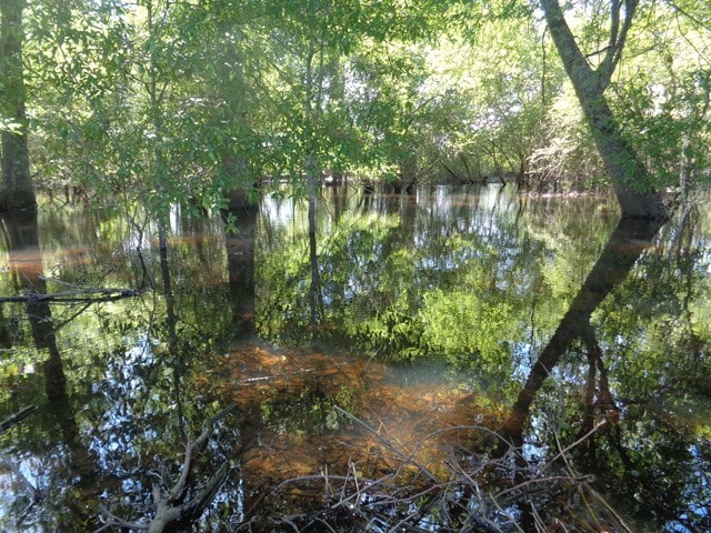 25.5/-AC National Rd Unit 25.5-Ac, Dothan, AL 36301 - photo 18
