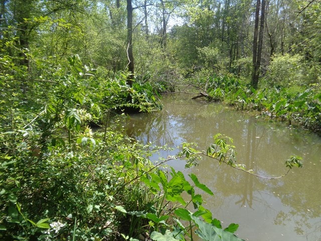 25.5/-AC National Rd Unit 25.5-Ac, Dothan, AL 36301 - photo 21