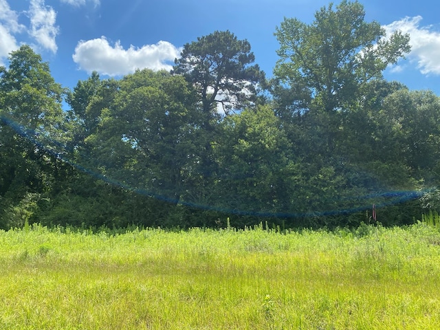 25.5/-AC National Rd Unit 25.5-Ac, Dothan, AL 36301 - photo 32