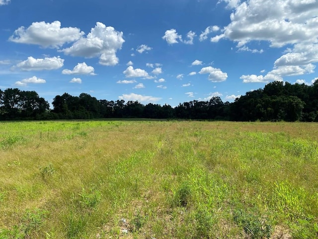 25.5/-AC National Rd Unit 25.5-Ac, Dothan, AL 36301 - photo 1