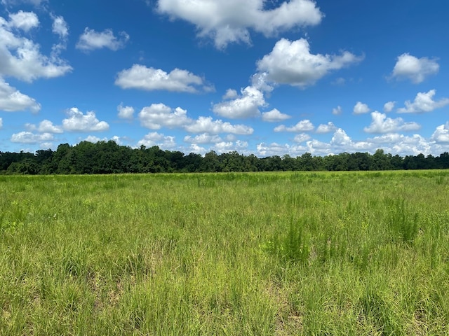 25.5/-AC National Rd Unit 25.5-Ac, Dothan, AL 36301 - photo 31