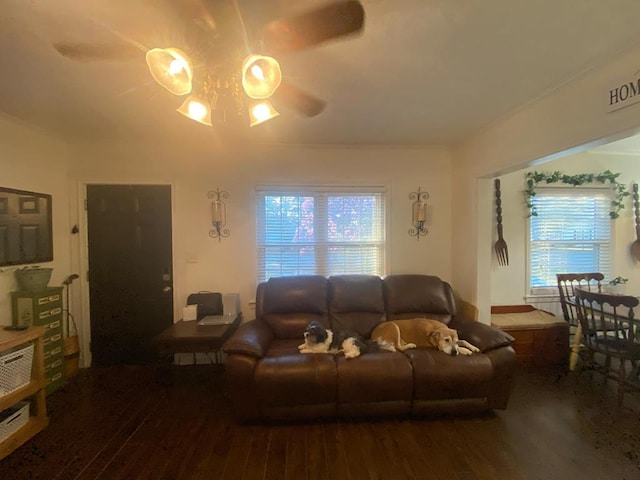 living room featuring plenty of natural light and wood finished floors