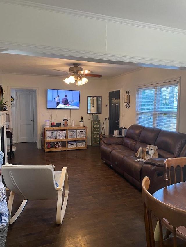 living room with wood finished floors, ornamental molding, and a ceiling fan