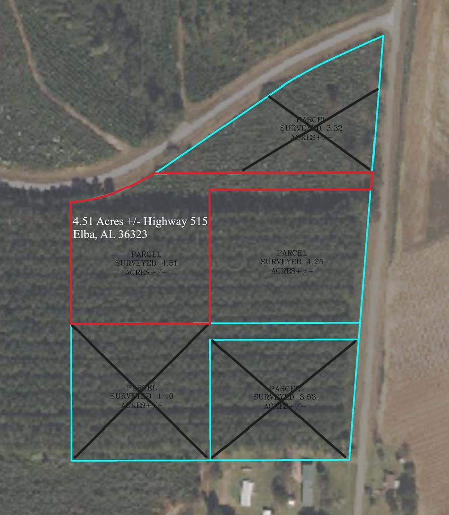 4.51AC County Road 515, Elba, AL 36323 - photo 1