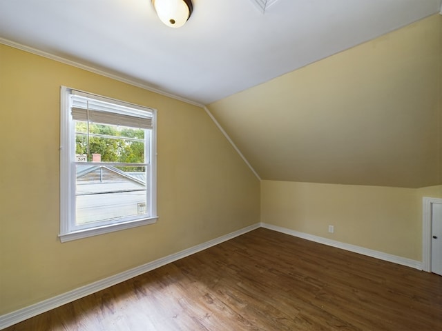 additional living space featuring dark hardwood / wood-style floors and lofted ceiling