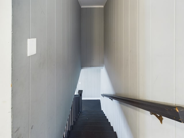 stairway with wooden walls