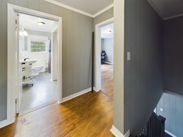 corridor with hardwood / wood-style floors, wooden walls, and ornamental molding