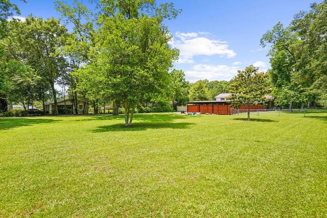 568 N Morris St, Slocomb, AL 36375 - view of yard