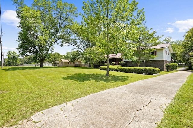 568 N Morris St, Slocomb, AL 36375 - view of green lawn with driveway