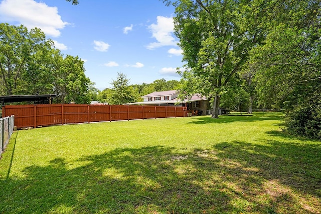 568 N Morris St, Slocomb, AL 36375 - view of yard