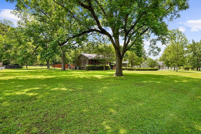 568 N Morris St, Slocomb, AL 36375 - view of grassy yard