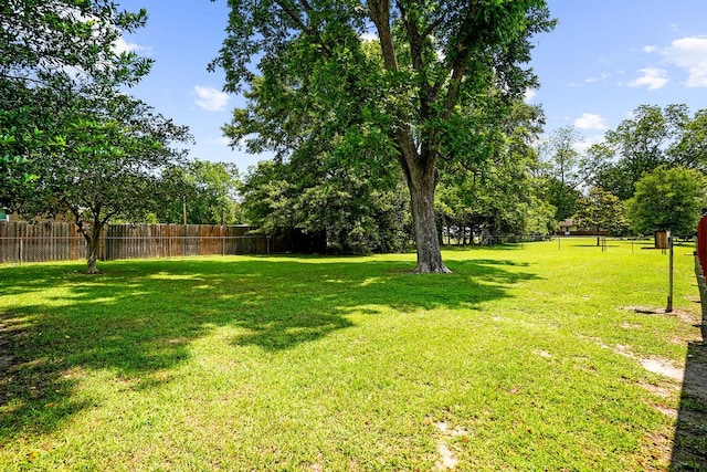 568 N Morris St, Slocomb, AL 36375 - view of yard