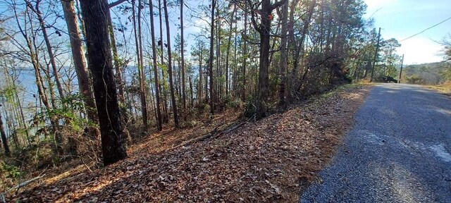 LANDONLY Lakeshore, Abbeville, AL 36310 - photo 7